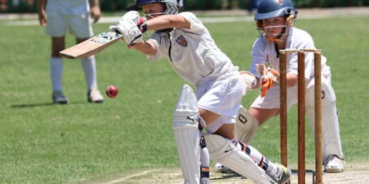 The Rise of Digital Cricket: How Diamond Exchange is Revolutionizing Match Exchanges